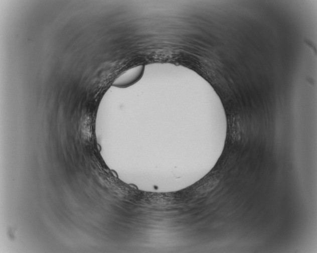 X0000102250962200808221349