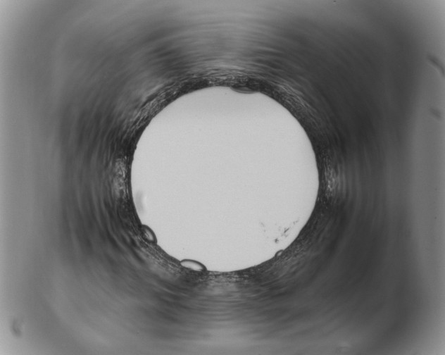 X0000102250964200808221349