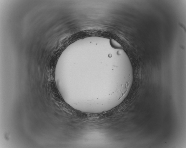 X0000102250965200808221349