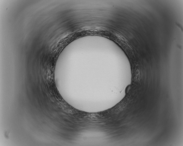 X0000102250966200808221349