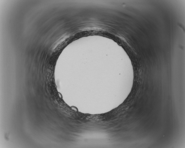 X0000102250967200808221349