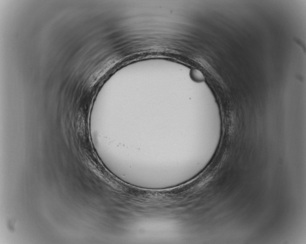 X0000102250969200808221349