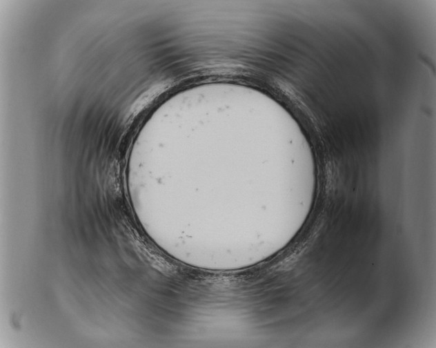 X0000102250970200808221349
