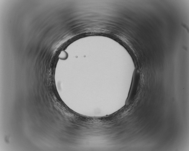 X0000102250971200808221349