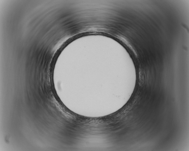 X0000102250972200808221349