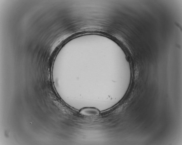 X0000102250973200808221349
