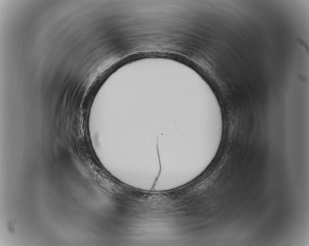 X0000102250974200808221349