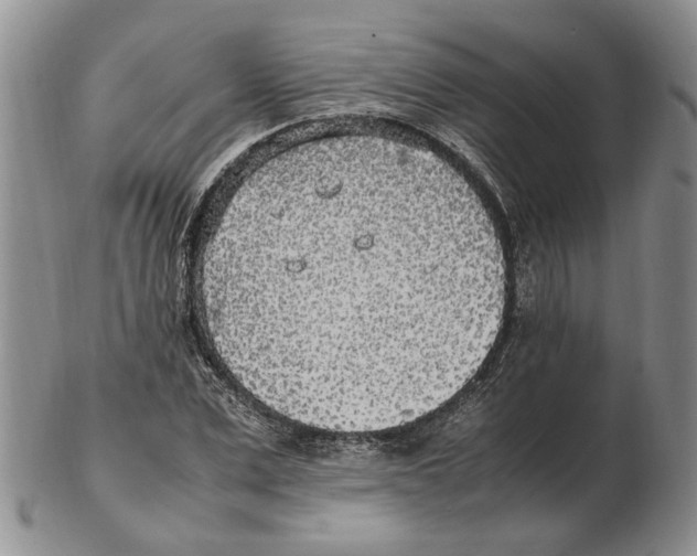 X0000102250975200808221349
