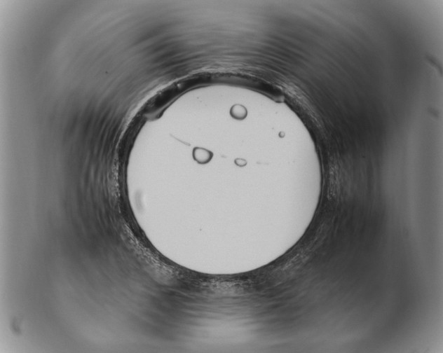 X0000102250976200808221349