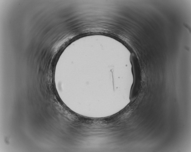 X0000102250979200808221349