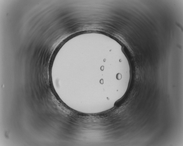 X0000102250980200808221349