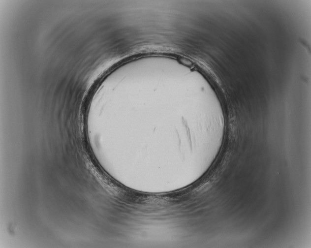 X0000102250981200808221349