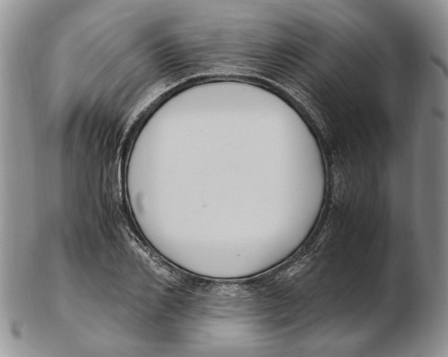 X0000102250982200808221349