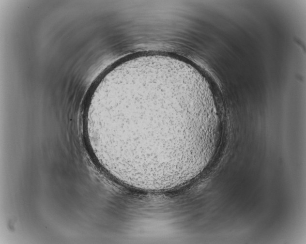 X0000102250983200808221349