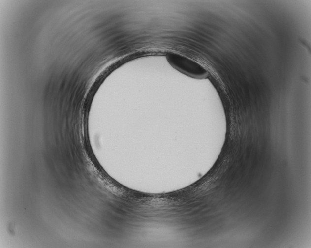 X0000102250984200808221349
