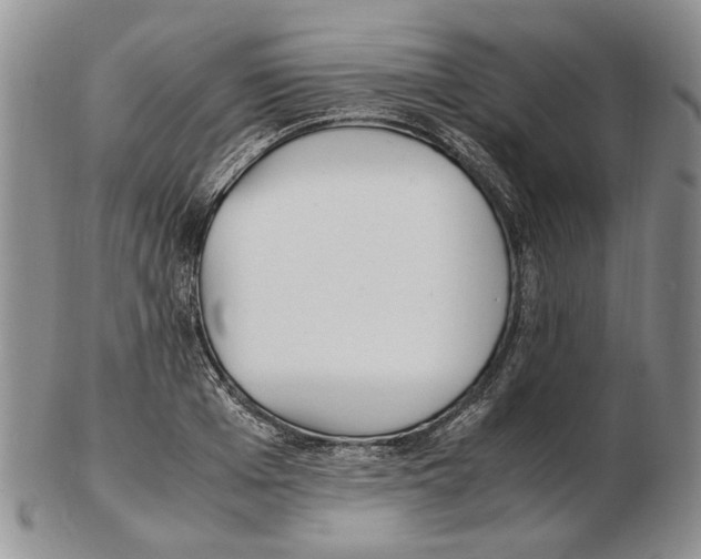 X0000102250985200808221349