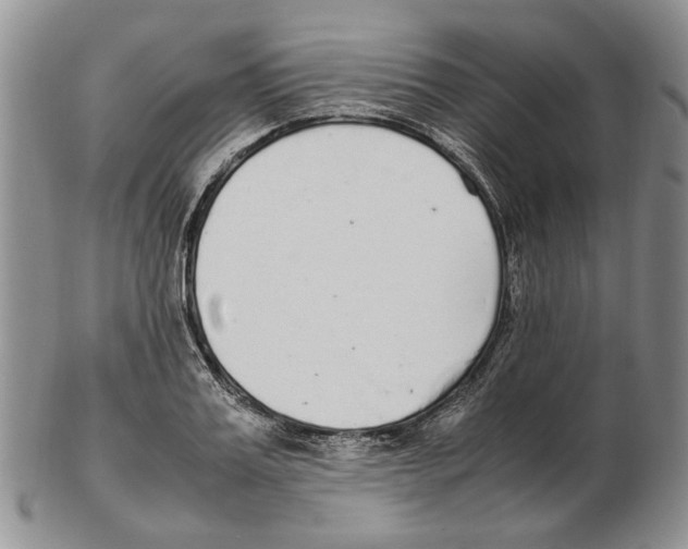 X0000102250987200808221349