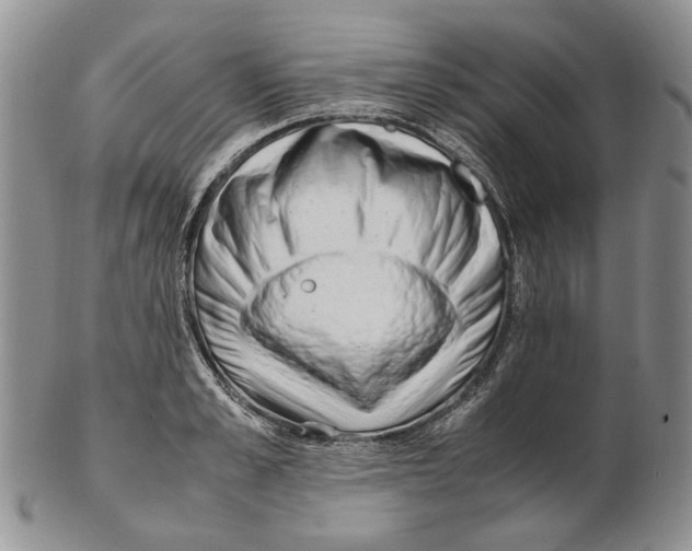 X0000102250989200808221349