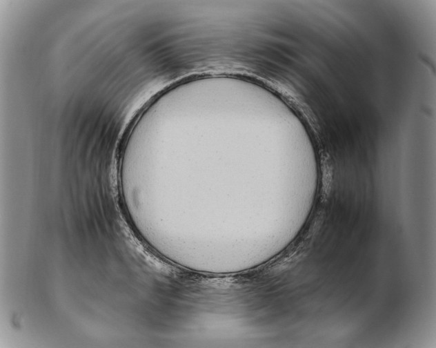 X0000102250990200808221349