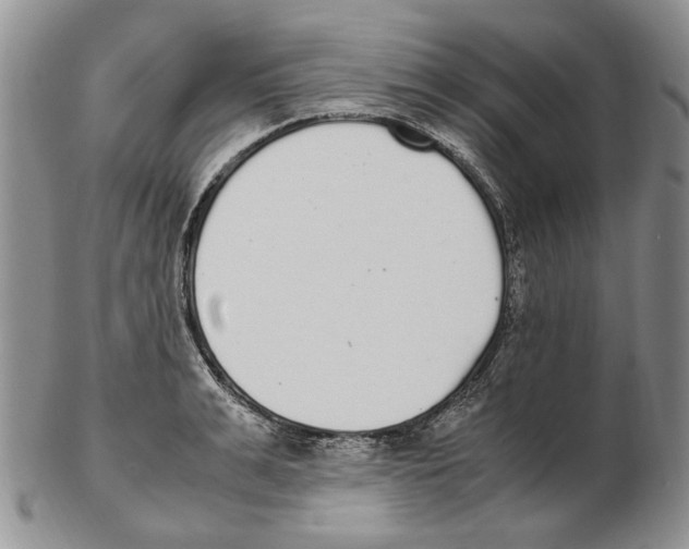X0000102250991200808221349