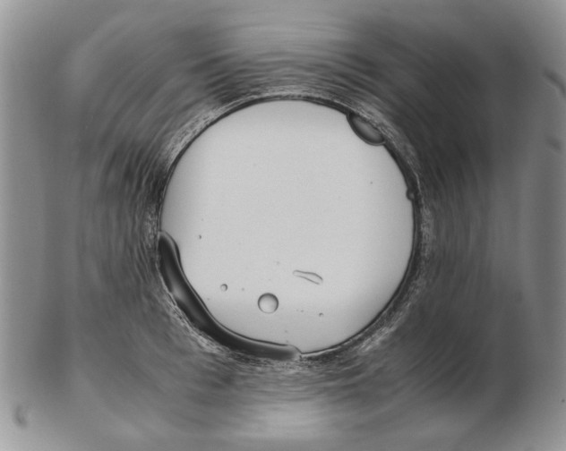 X0000102250993200808221348
