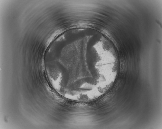 X0000102250994200808221348