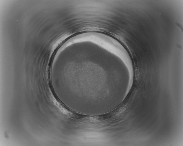 X0000102250995200808221348