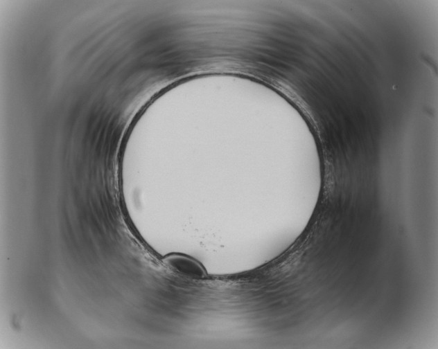 X0000102250996200808221348