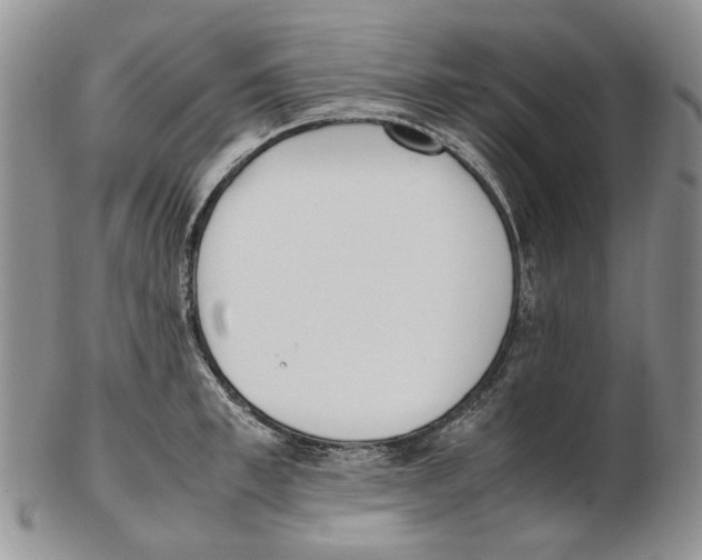 X0000102250997200808221348