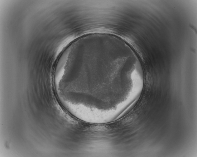 X0000102250998200808221348