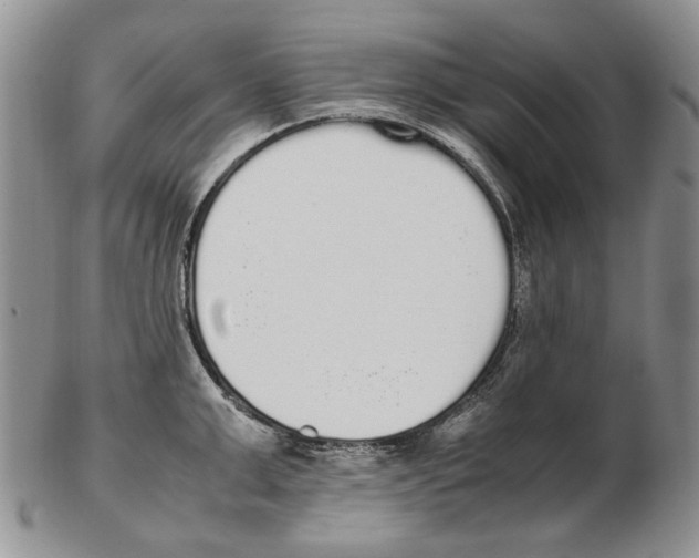 X0000102250999200808221348