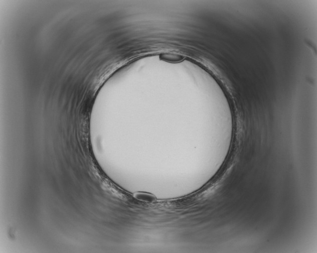 X0000102251001200808221348