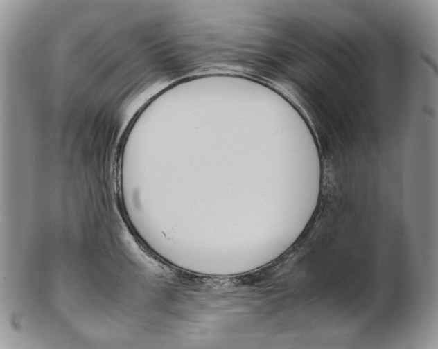 X0000102251003200808221348