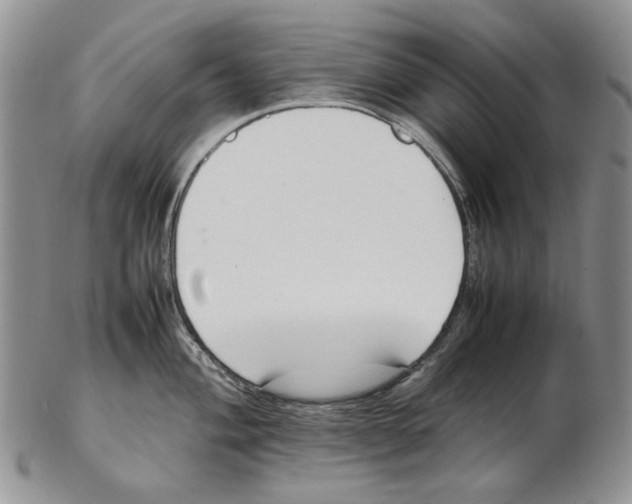 X0000102251004200808221348