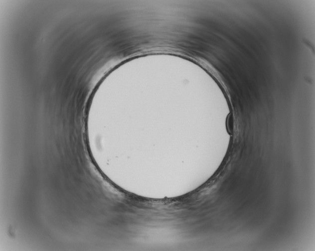 X0000102251005200808221348