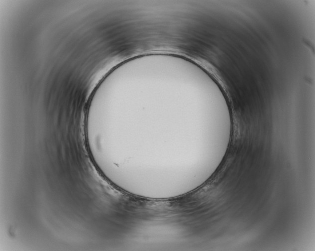 X0000102251006200808221348