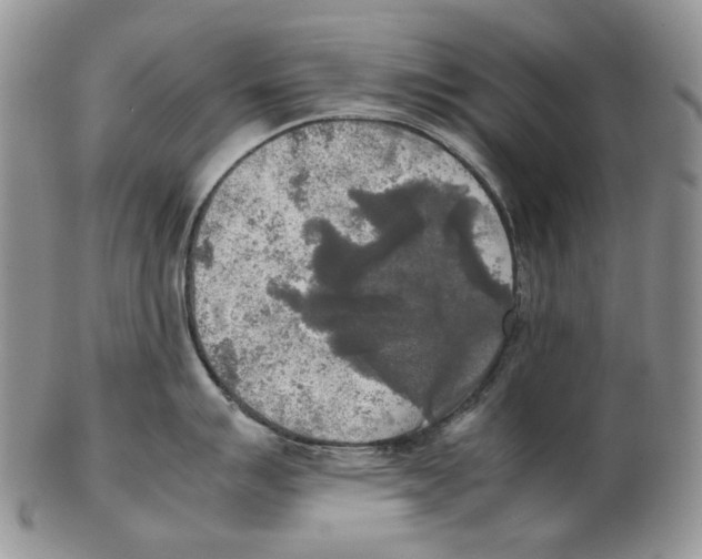 X0000102251007200808221348