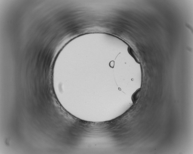 X0000102251008200808221348