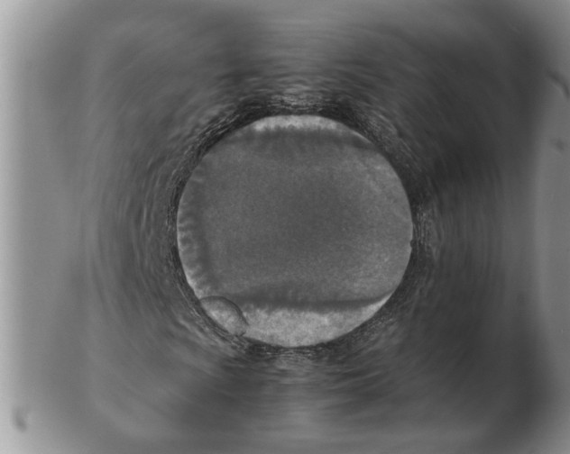 X0000102251009200808221348