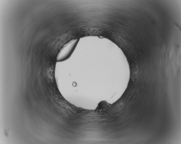 X0000102251010200808221348