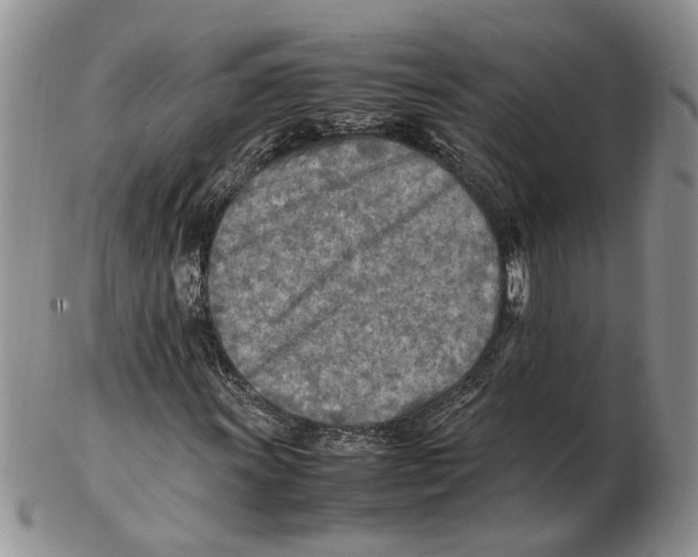 X0000102251011200808221348