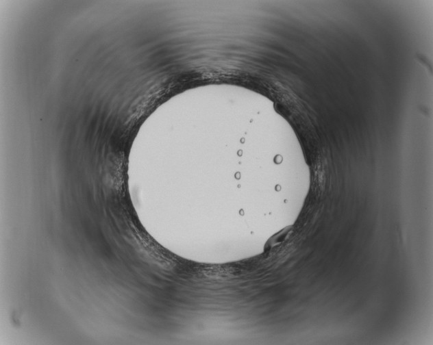 X0000102251012200808221348