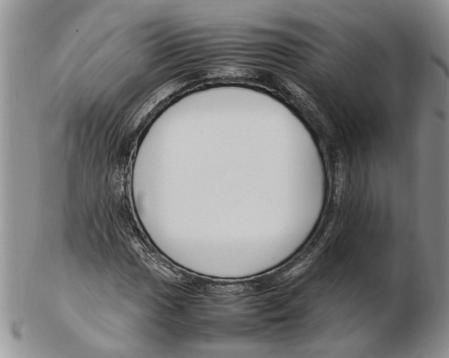 X0000102251017200808221348