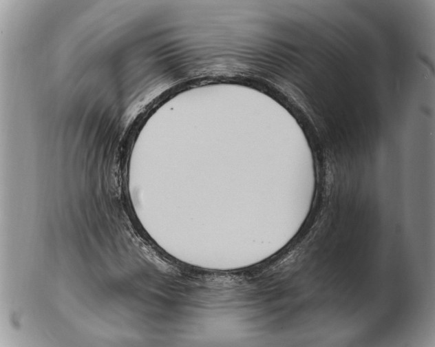 X0000102251018200808221348