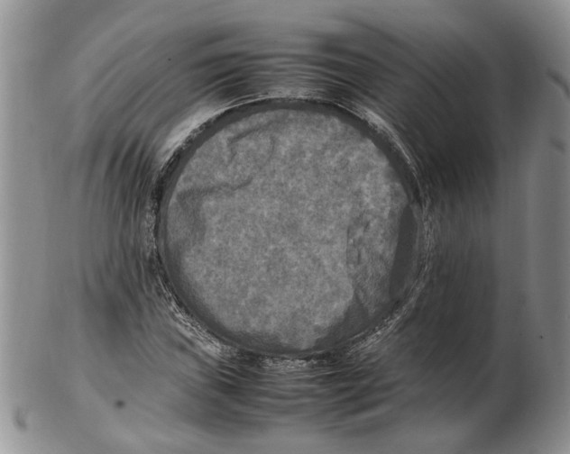 X0000102251019200808221348