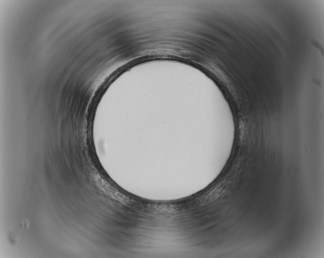 X0000102251020200808221348