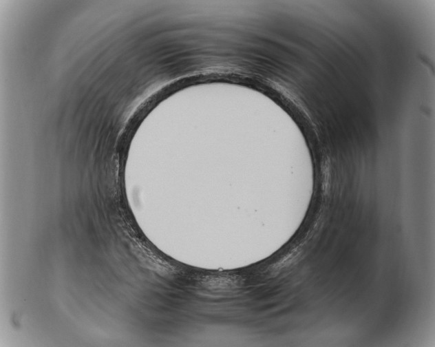 X0000102251021200808221348