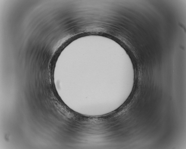 X0000102251022200808221348