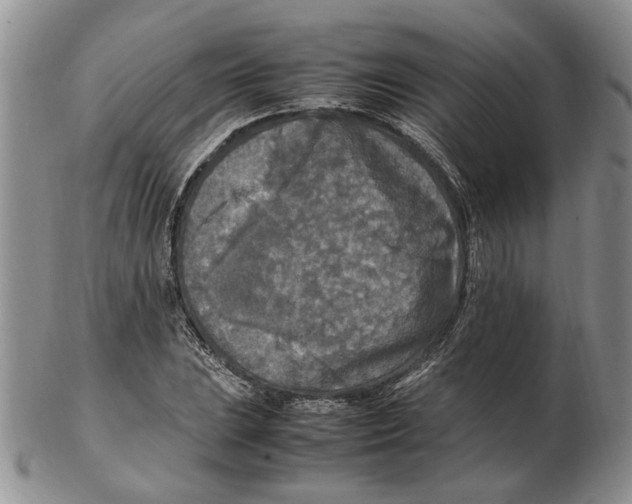 X0000102251023200808221348