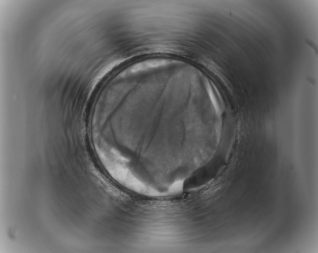 X0000102251024200808221348
